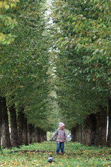 Obraz premium A girl of four years old in autumn clothes walks along the alley surrounded by trees with green foliage. Vertical orientation.