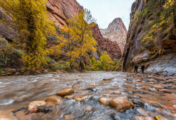 Naklejka premium Zion Canyon National Park