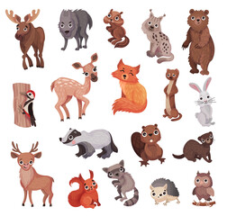 Forest Animals as Wild Fauna with Elk, Wolf, Bear, Fox and Raccoon big Vector Set