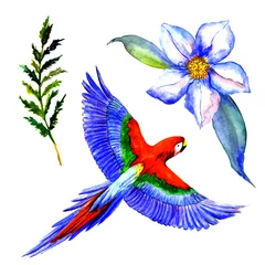 Zelfklevend Fotobehang Vlinders Watercolor parrot isolated on white background.