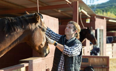 Smiling adult male in plaid shirt cleaning head of brown horse from dust and dirt with brush in...