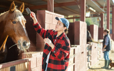 Caring young European woman in plaid shirt cleaning and grooming purebreed horse with brushes in countryside club