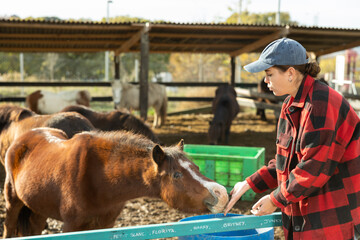 Pleased young woman caring for pony horse at horse farm