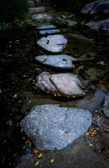 Japanese stepping stones over a stream