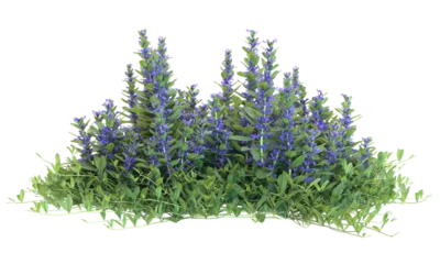  Various types of flowers grass bushes shrub and small plants isolated  © Poprock3d