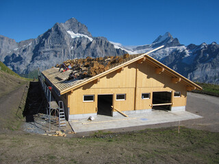 GRINDELWALD, SWITZERLAND - AUGUST 31, 2009: Smiling construction workers building house roof structure at construction site, in front of Snowy mountain in the European Alps, Switzerland