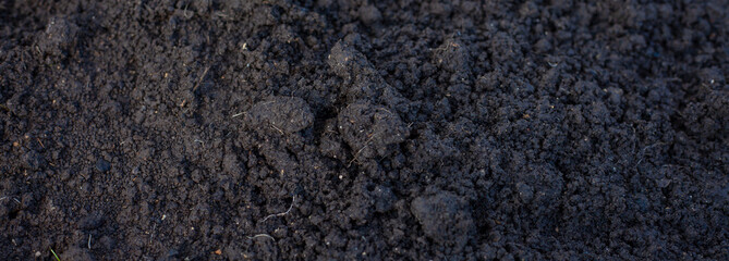 Photos of soil for planting. Organic soil. Rich soil background image. Top down view on full frame of bare soil for nature background about gardening.