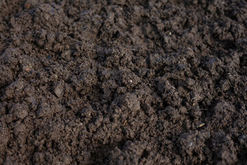 Photos of soil for planting. Organic soil. Rich soil background image. Top down view on full frame of bare soil for nature background about gardening.
