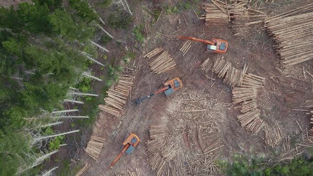 Aerial: top down shot of heavy logging machinery in the forest
