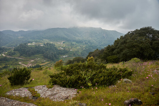 village in the mountains with hiking trails, green trees and bubes 