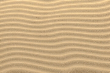 Fototapeta na wymiar textured white sand dune background