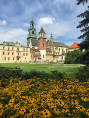 A field of flowers in front of Wawel Royal Castle in Krakow, Poland in Europe