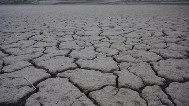 Desierto