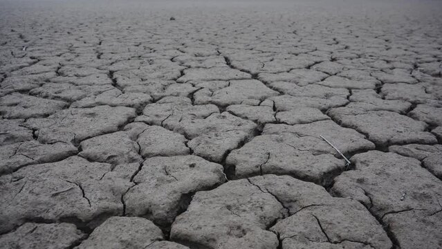 Desierto