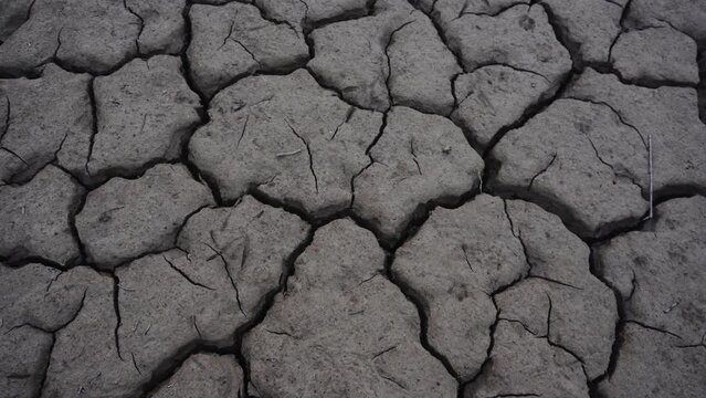 Desierto