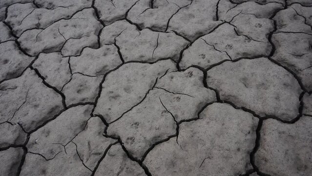Desierto