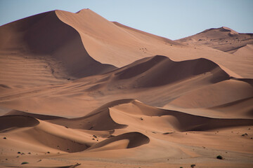 Sand dunes in Sossusvlei, Namibia, Africa