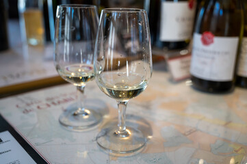 Tasting of white dry chablis wine in small winery in Chablis town, Burgundy, France