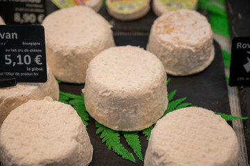Fototapeta na wymiar Cheese collection, french goat cheese from Burgundy region, France