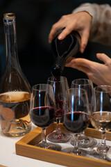 Tasting of rioja wines, visit of winery cellars with french or american oak barrels with agening red wine, Rioja wine making region, Spain