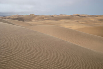 Fototapeta na wymiar Sand dunes along the Skeleton Coast in Namibia, Africa