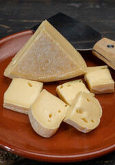 Cheese collection, French reblochon de savoie gratin cheese close up