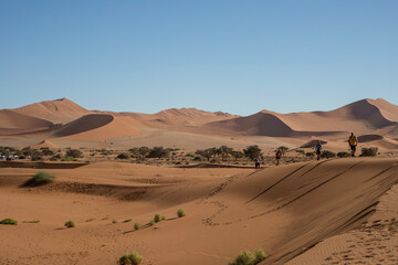 Fototapeta na wymiar Hiking on sand dunes around Deadvlei in Sossusvlei, Namibia, Africa