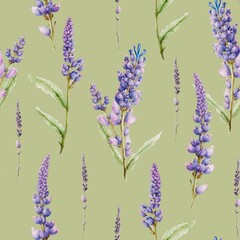 Lavender flowers floral watercolor decorative vintage seamless pattern background