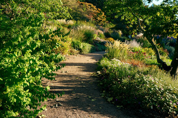Footpath in a botanical park. Idyllic image of nice walkable path between plants and flowers in autumn. Warm colors for the sunset light.