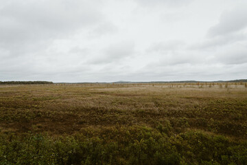 Fototapeta na wymiar Panorama of the famous nature park Store Mosse, Sweden. Ancient and vast peat bog in the nature reserve in northern Europe. Swampy landscape with cloudy sky. Prairie, emptiness and silence.