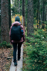 Young blonde hiker walks along a trail in Store Mosse National Park. Girl with big backpack walks...