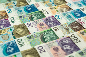 Background made of many polish banknotes
