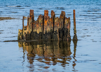Separated rusting Breakwater with seaweed and reflection