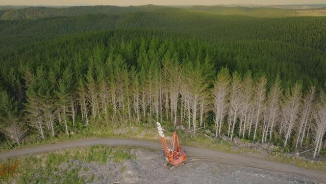 Aerial: logging Cable Line Grapple crane in the forest