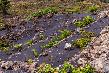 Cenizas de la erupción del volcán Tajogaite, isla de la Palma.