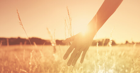 Person's hand at sunset touching the grass feeling at peace in nature 