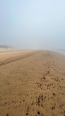 beautiful sandy seashore in fog