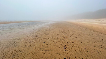 beautiful sandy seashore in fog