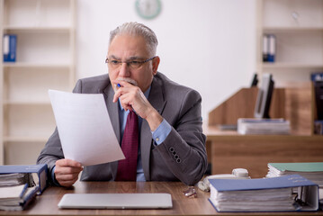 Old male boss employee working in the office