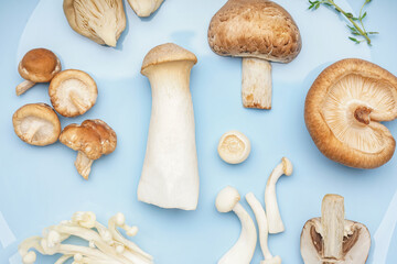 Plate with different fresh mushrooms, closeup