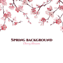 Watercolor sakura border background or banner with pink sherry blossom flowers