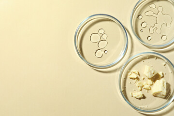 Many Petri dishes and cosmetic products on beige background, flat lay. Space for text