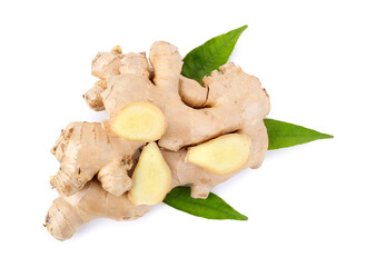 Fresh ginger roots and leaves on white background