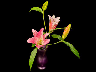 Still Life Of Iris Flowers In Vase