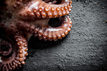 The octopus tentacles food.