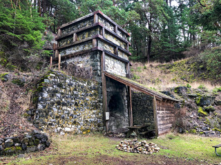 Lime Kiln In Forest