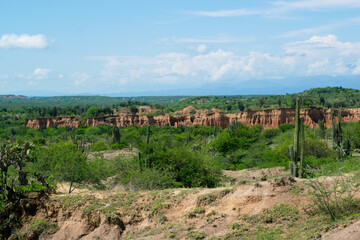 Fototapeta na wymiar Landscape of the desert of tatacoa Colombia