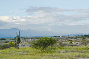 Landscape of the desert of tatacoa Colombia