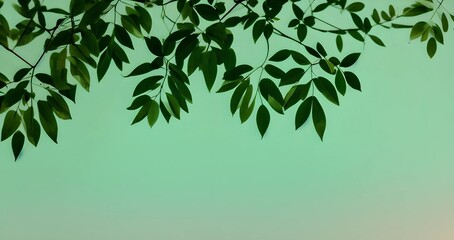 leaves on green background, Generative AI