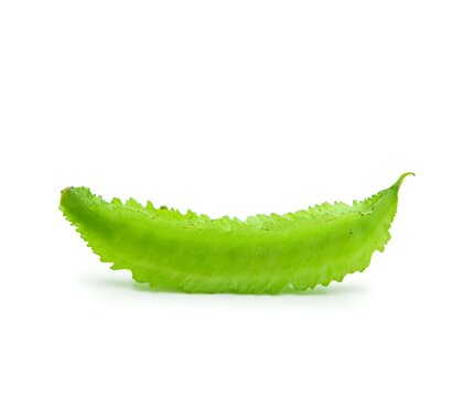 bean, goa, winged, wing, jagged, oriental, agriculture, asian, capsule, chathura, crop, cuisine, dambala, delicatessen, edge, equatorial, food, fresh, freshness, frill, green, guinea, harvested, aspar